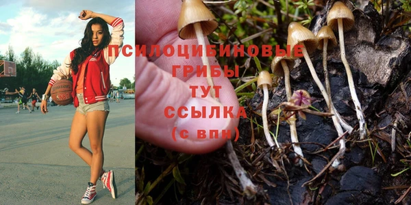 ALPHA-PVP Михайловск