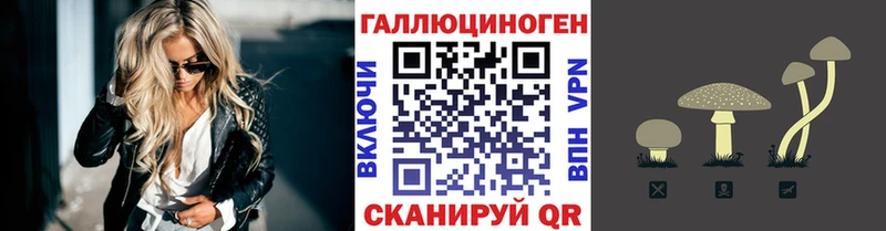 закладка  Йошкар-Ола  дарк нет состав  Псилоцибиновые грибы Magic Shrooms 
