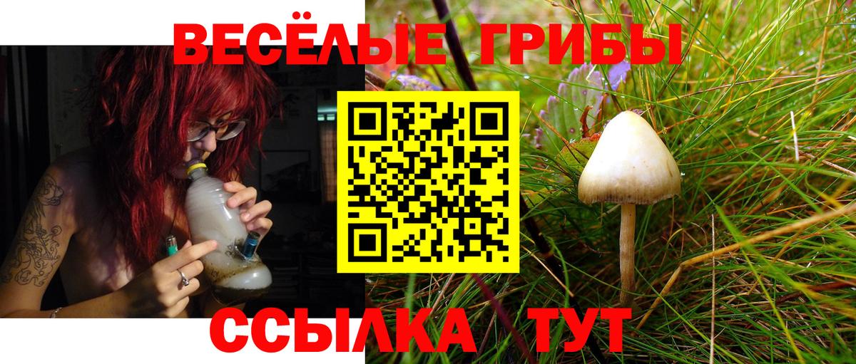 Галлюциногенные грибы GOLDEN TEACHER  Йошкар-Ола 