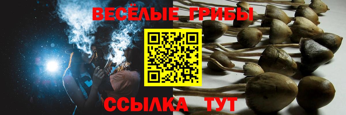 Галлюциногенные грибы ЛСД  Вход с VPN  Йошкар-Ола 